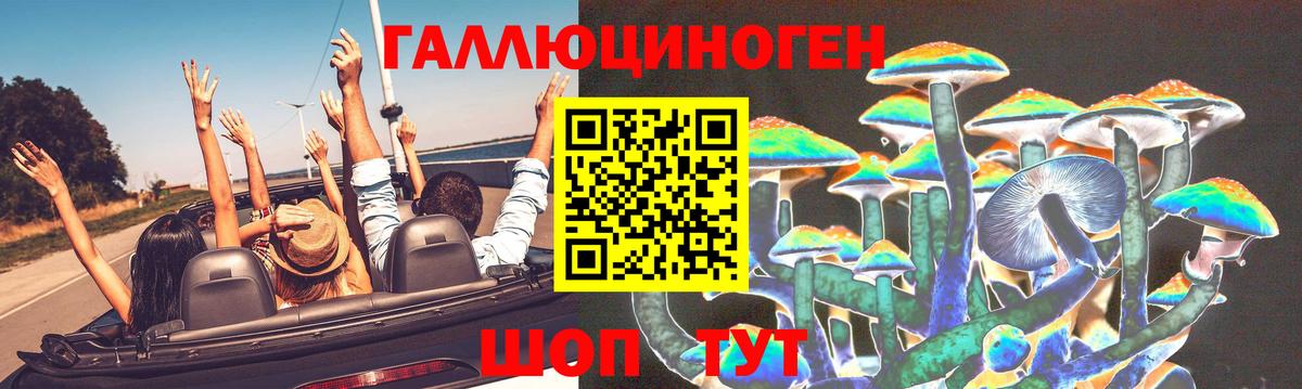 Галлюциногенные грибы Psilocybe  Вход с VPN  Шарыпово 